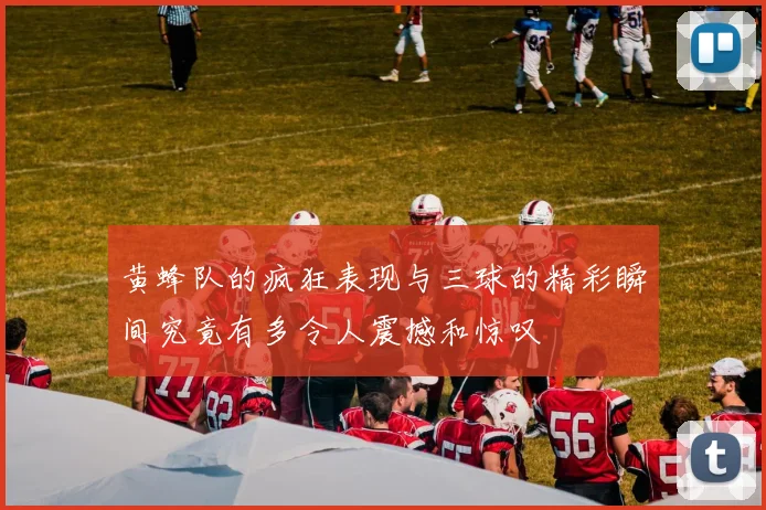 黄蜂队的疯狂表现与三球的精彩瞬间究竟有多令人震撼和惊叹